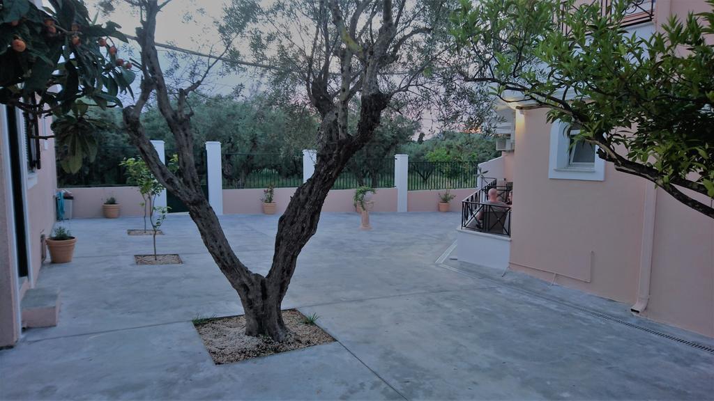 Doras Zante Studios & Apartments Argassi Exteriér fotografie